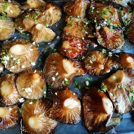 Il Cardoncello فندق