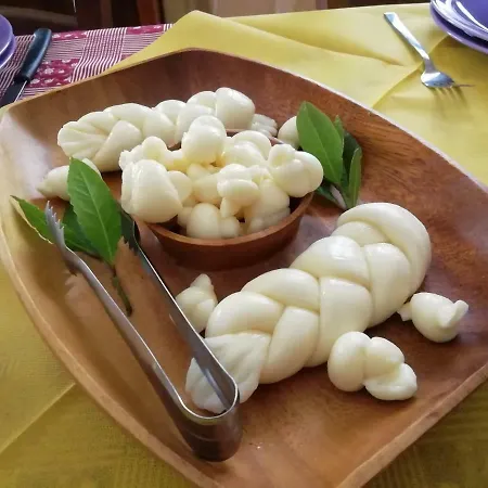 Il Cardoncello Отель Sindia