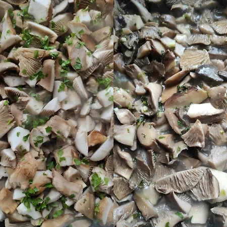 Il Cardoncello Hotel Sindia